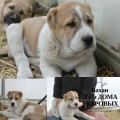 VAHAN IZ DOMA UVAROVIH VAHAN IZ DOMA UVAROVIH