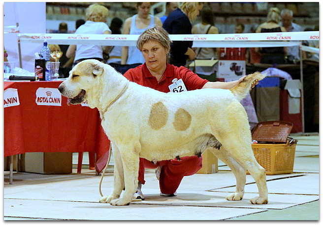 Bilan onlayn porno filmlarda rol oynagan Yalangoch lager oqituvchisi jinsiy aloqa