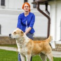 DOG VIL'L BAYSAR ADIL GAYAS DOG VIL'L BAYSAR ADIL GAYAS