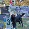 ERGUL GRUODAS ERGUL GRUODAS