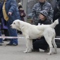 DAR USSURI MIRIAM DLYA EL GISHER DAR USSURI MIRIAM DLYA EL GISHER