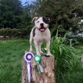 WINNERS PRIZE PLATON