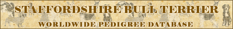 DogsFiles.com - databases of all dog's breeds.