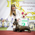 ROKIROVKA S ZELENOGO GORODA ROKIROVKA S ZELENOGO GORODA