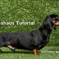DACHSHAUS TUTORIAL