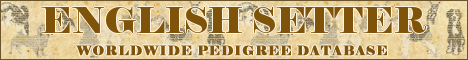 DogsFiles.com - databases of all dog's breeds.