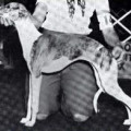 CYRANO'S RAFINA MS. DEMEANOR