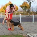 JUSTACE TAFFY IZ PETERGOFA JUSTACE TAFFY IZ PETERGOFA