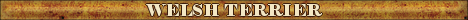 DogsFiles.com - databases of all dog's breeds.