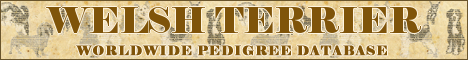 DogsFiles.com - databases of all dog's breeds.