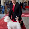 UDACHA ZOLOTO'DNESTRA UDACHA ZOLOTO'DNESTRA