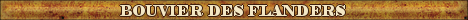 DogsFiles.com - databases of all dog's breeds.