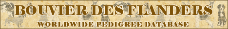 DogsFiles.com - databases of all dog's breeds.