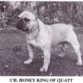 HONEY KING OF QUATT