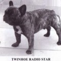 TWINHOE RADIO STAR