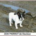 DON PIERROT DE L'HEUREUX PIERROT