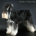 OFELIA