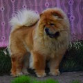 ITS MY LOVE BERRY SWEET