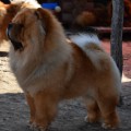 ITS MY LOVE ENZO