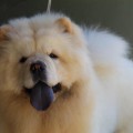 ITS MY LOVE SOPHIE