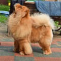 ITS MY LOVE BAUNTY GOOD LUCK