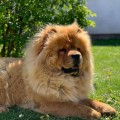 BE MY JOSEPHINE DEL ROYAL SELECTION BE MY JOSEPHINE DEL ROYAL SELECTION