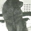 ILKA VOM LEIMBERG