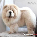 MEI-LING'S GIVE ME KISS