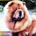 MEI-LING'S ON THE COVER