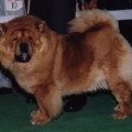 BERFLUS LEI DI LAIK