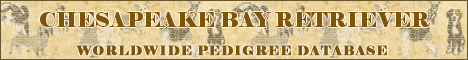 DogsFiles.com - databases of all dog's breeds.