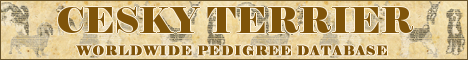DogsFiles.com - databases of all dog's breeds.