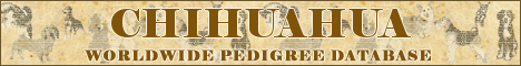 DogsFiles.com - databases of all dog's breeds.