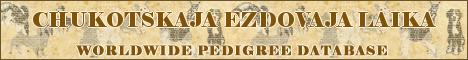 DogsFiles.com - databases of all dog's breeds.