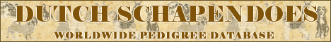 DogsFiles.com - databases of all dog's breeds.