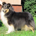 MARVITHOLL LILLITH