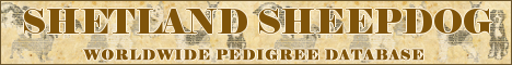DogsFiles.com - databases of all dog's breeds.