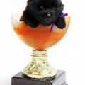 FAM BOING ZHGUCHAYA BRYUNETKA FAM BOING ZHGUCHAYA BRYUNETKA