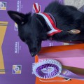 OLIVIA LILU S AKULOVOY GORY
