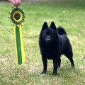 MAHDOTON ZEUS OF THUNDER