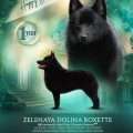 ZELENAYA DOLINA ROKSETT