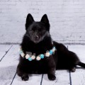 EBONY SANDS BLACK CALIFORNIAN PERL
