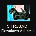 DOWNTOWN VALENCIA