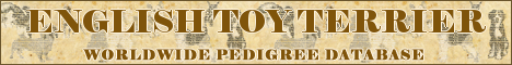 DogsFiles.com - databases of all dog's breeds.