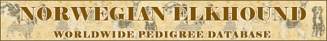 DogsFiles.com - databases of all dog's breeds.
