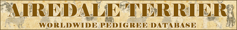 DogsFiles.com - databases of all dog's breeds.