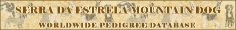 DogsFiles.com - databases of all dog's breeds.