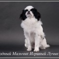 ZVEZDNYY MALCHIK IGRIVIY LUCHIK ZVEZDNYY MALCHIK IGRIVIY LUCHIK