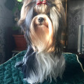 BEAUTY EL DIVA