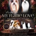 MY FLAME LOVE TAKERA